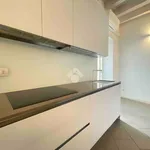 Rent 3 bedroom apartment of 80 m² in Brescia