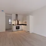 Huur 3 slaapkamer appartement van 60 m² in The Hague