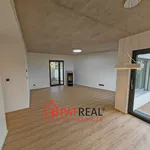 Rent 5 bedroom apartment of 181 m² in Brno