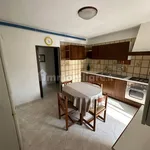 Rent 4 bedroom apartment of 125 m² in Turin