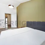 Rent 1 bedroom apartment of 64 m² in Brno