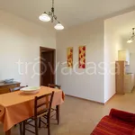 Rent 1 bedroom apartment of 55 m² in Ferrara