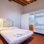 Rent 1 bedroom apartment in Florence