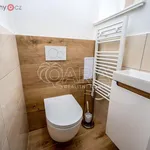 Rent 5 bedroom apartment of 140 m² in Praha