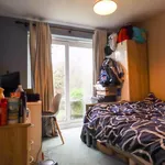 Rent 1 bedroom flat in Norwich