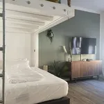 Rent 1 bedroom apartment of 46 m² in Dresden