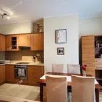 Rent 2 bedroom apartment of 47 m² in Budapest