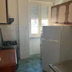 Rent 3 bedroom apartment of 80 m² in Roma