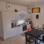 Rent 3 bedroom apartment of 85 m² in Bologna