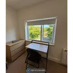 Rent 5 bedroom house in Brighton