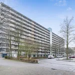 Huur 3 slaapkamer appartement van 89 m² in Withuis