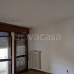 Rent 3 bedroom apartment of 80 m² in Padova