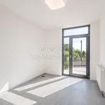 Rent 1 bedroom house of 287 m² in Prague