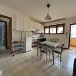 Rent 3 bedroom apartment of 65 m² in Pisa