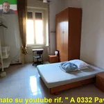 Rent 2 bedroom apartment of 60 m² in Pavia