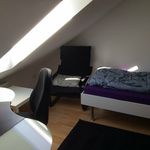 Rent 3 bedroom apartment of 65 m² in Wuppertal