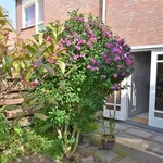 Rent 4 bedroom house of 115 m² in De Leyens