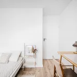 Rent 3 bedroom apartment of 46 m² in Toruń