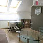 Rent 1 bedroom apartment of 40 m² in Zlín