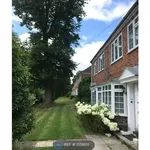 Rent 3 bedroom house in Basingstoke and Deane