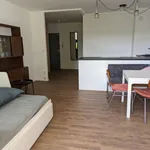 Rent 1 bedroom apartment in berlin