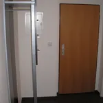 Rent 2 bedroom apartment of 50 m² in Plzeň