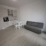 Rent 2 bedroom apartment of 58 m² in Monza