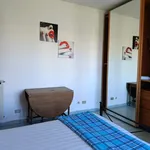 Rent 2 bedroom apartment of 46 m² in Roma