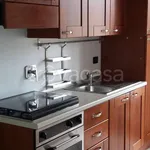 Rent 2 bedroom apartment of 55 m² in Torino