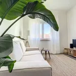 Rent 1 bedroom apartment of 43 m² in lisbon