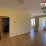 Rent 1 bedroom apartment in Brno