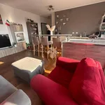 Rent 2 bedroom apartment of 73 m² in Milano