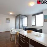 Rent 2 bedroom apartment of 58 m² in Brno