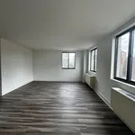 Rent 1 bedroom apartment in Manhattan