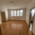 Pronajměte si 1 ložnic/e byt o rozloze 45 m² v Ostrava