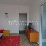 Rent 1 bedroom apartment of 35 m² in Milano