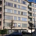 Rent 2 bedroom apartment in Evere