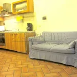 Rent 2 bedroom apartment of 40 m² in Firenze