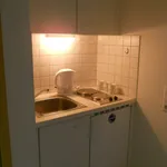 Rent 1 bedroom apartment of 26 m² in Freiburg im Breisgau