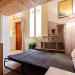 Rent 1 bedroom apartment of 30 m² in Bologna