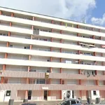 Appartement de 38 m² avec 1 chambre(s) en location à Metz