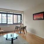 Rent 1 bedroom apartment of 46 m² in New York City