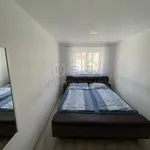 Pronajměte si 2 ložnic/e byt o rozloze 44 m² v Zubří