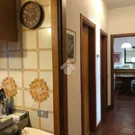 Rent 7 bedroom apartment of 218 m² in Potenza