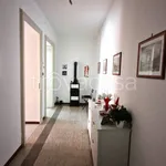 Rent 3 bedroom apartment of 100 m² in Biella