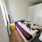 Rent 1 bedroom apartment in Capital City of Prague