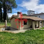 Rent 4 bedroom house of 100 m² in Firenze