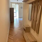 Rent 1 bedroom apartment in Porto