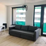 Rent 1 bedroom apartment of 394 m² in Capital City of Prague