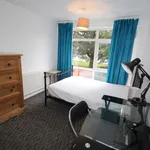 Rent 4 bedroom house in Canterbury